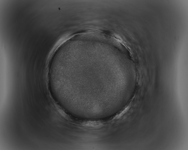 X0000086890101200705071231