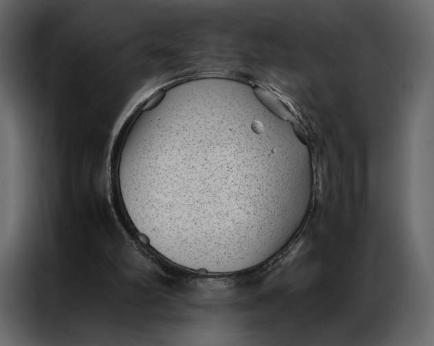 X0000086890102200705071231