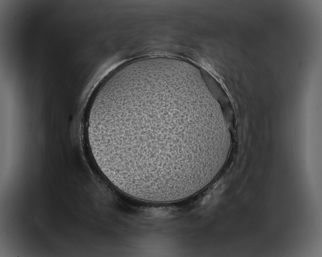 X0000086890103200705071231