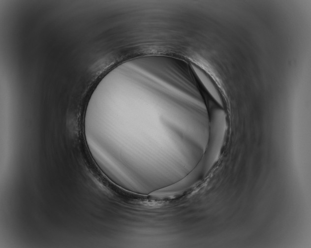 X0000086890105200705071231