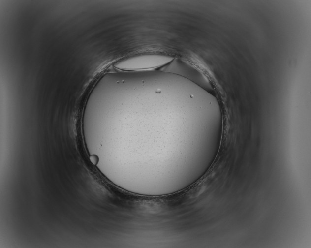 X0000086890106200705071231