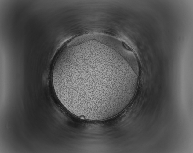 X0000086890107200705071231