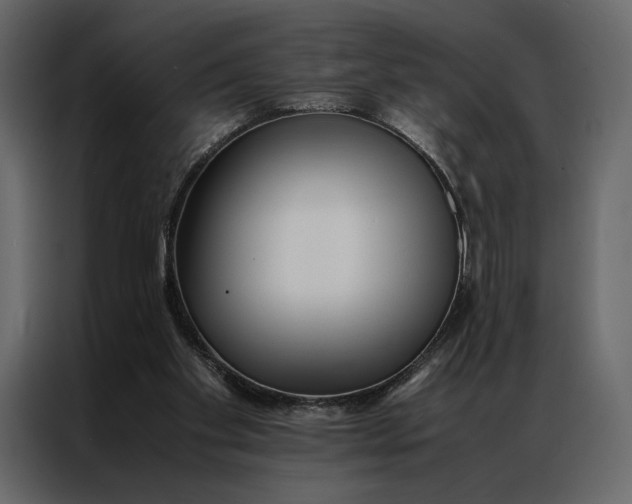 X0000086890109200705071231