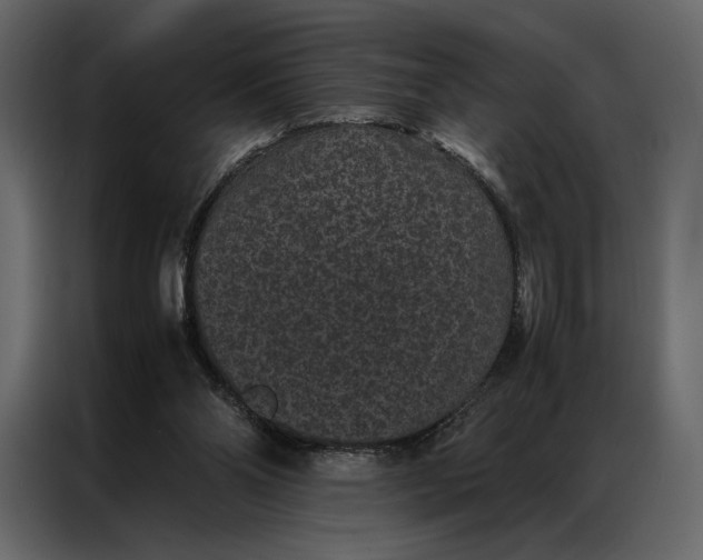 X0000086890110200705071231