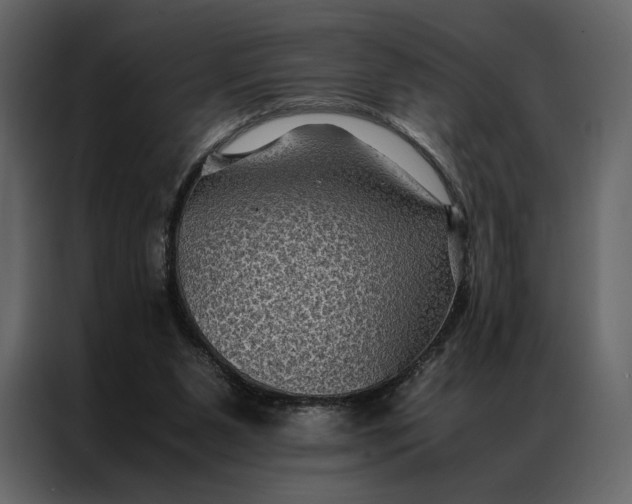 X0000086890111200705071231