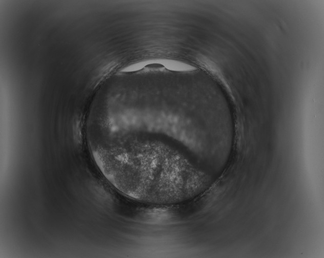 X0000086890114200705071231