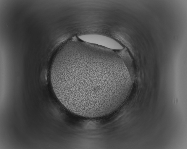 X0000086890115200705071231