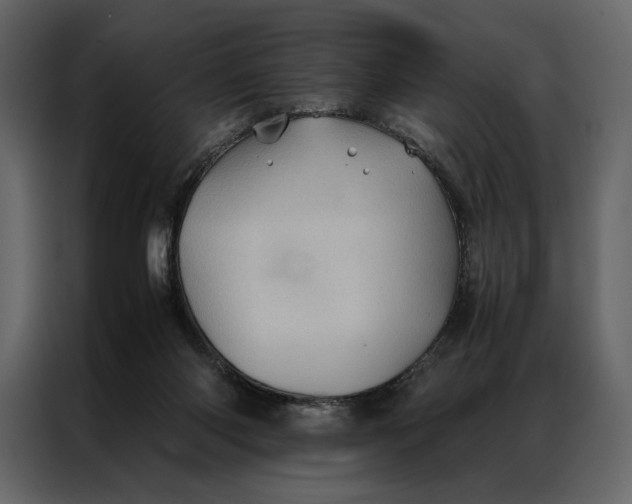 X0000086890118200705071231