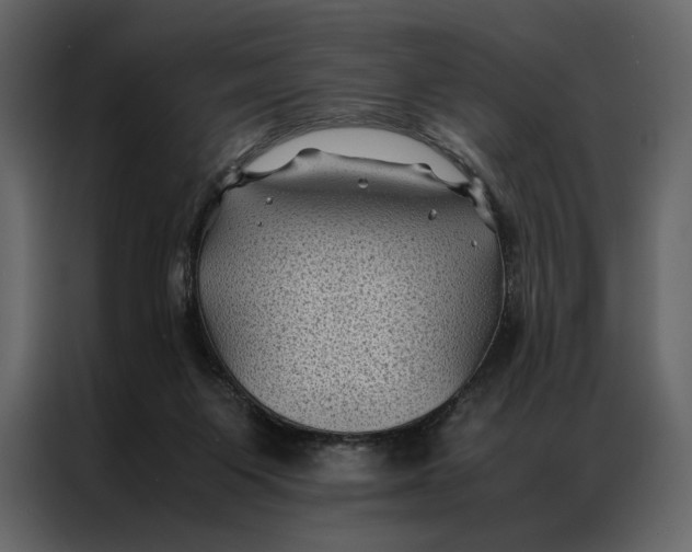 X0000086890119200705071231