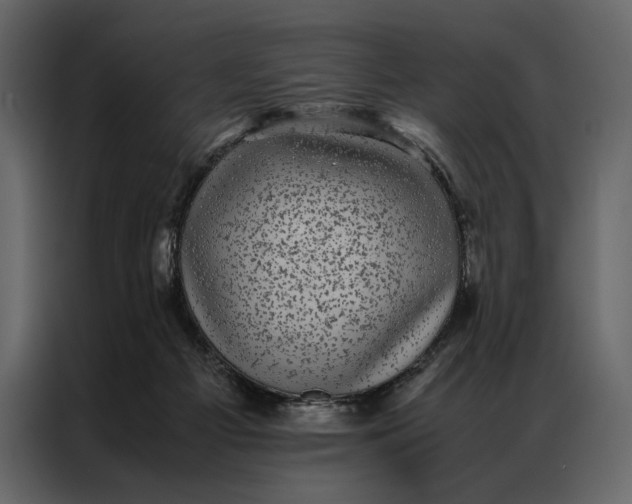 X0000086890121200705071231