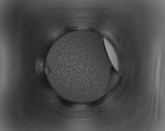 X0000086890123200705071231