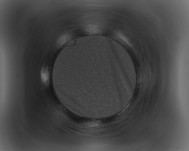 X0000086890124200705071231