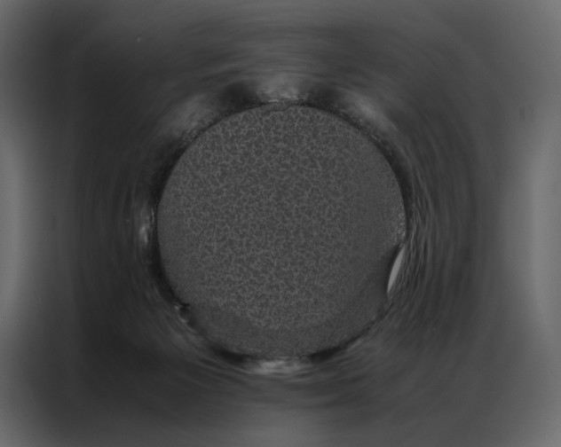 X0000086890125200705071231