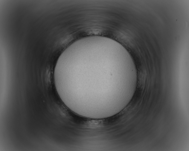 X0000086890126200705071231