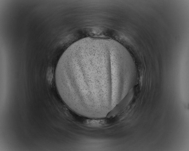 X0000086890129200705071231