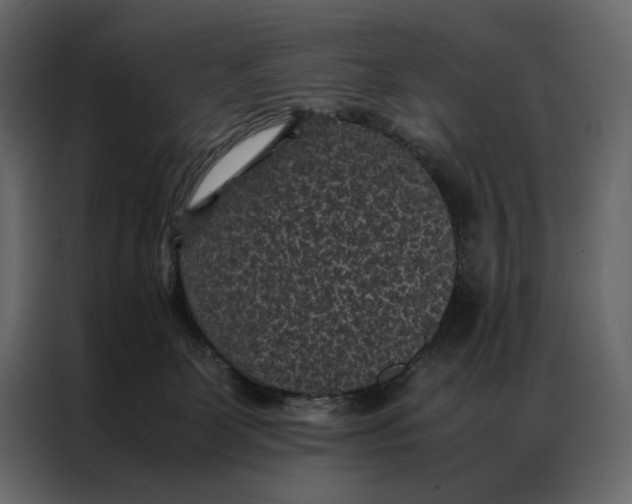 X0000086890131200705071231