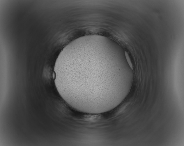 X0000086890135200705071231