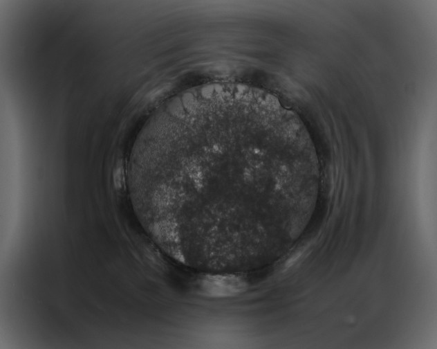 X0000086890137200705071231