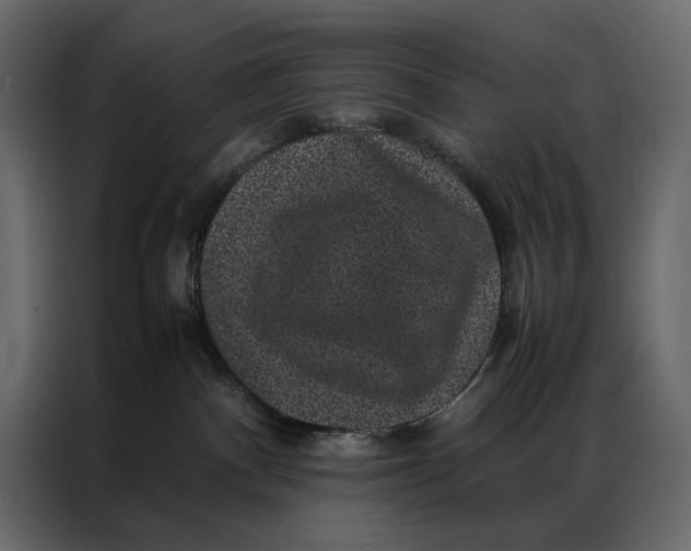 X0000086890140200705071231