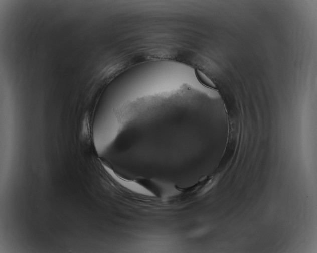 X0000086890143200705071231