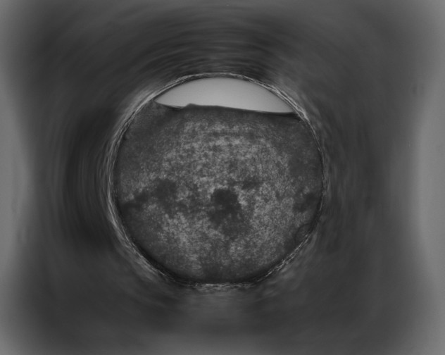 X0000086890145200705071230