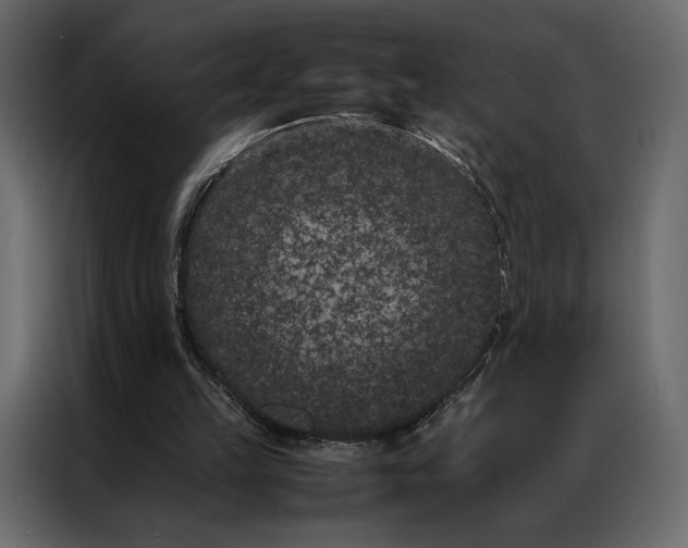 X0000086890149200705071230