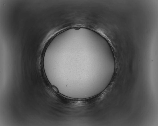 X0000086890151200705071230