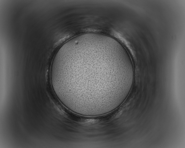 X0000086890153200705071230