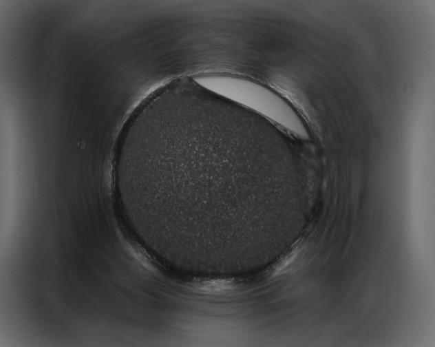 X0000086890156200705071230