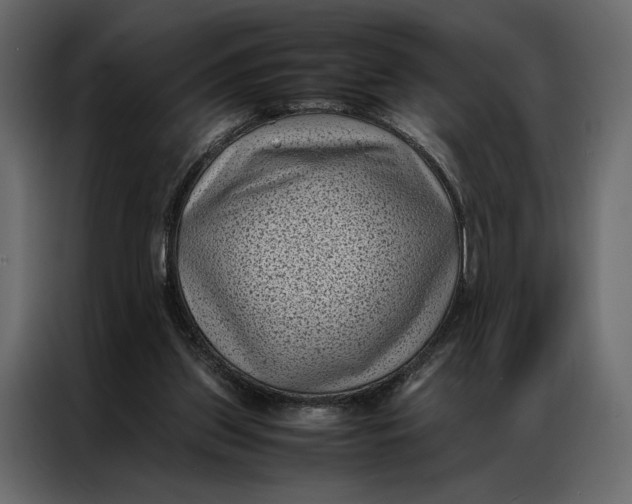 X0000086890157200705071230