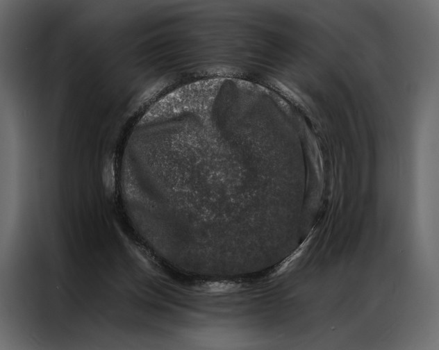 X0000086890158200705071230