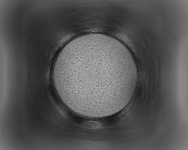 X0000086890159200705071230