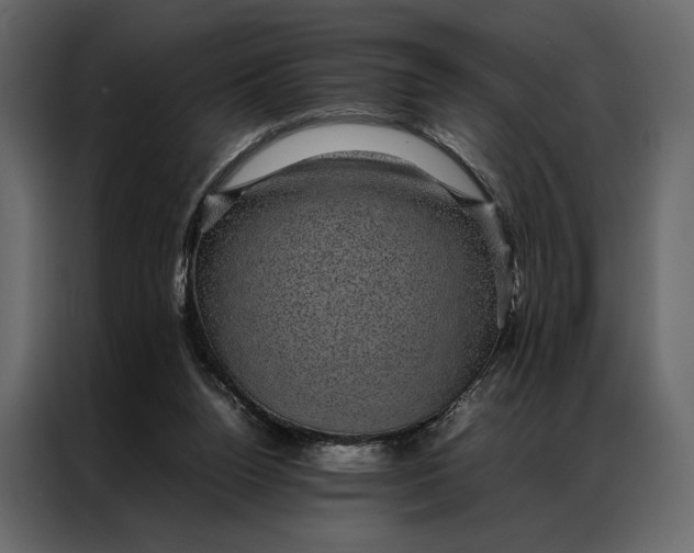 X0000086890160200705071230