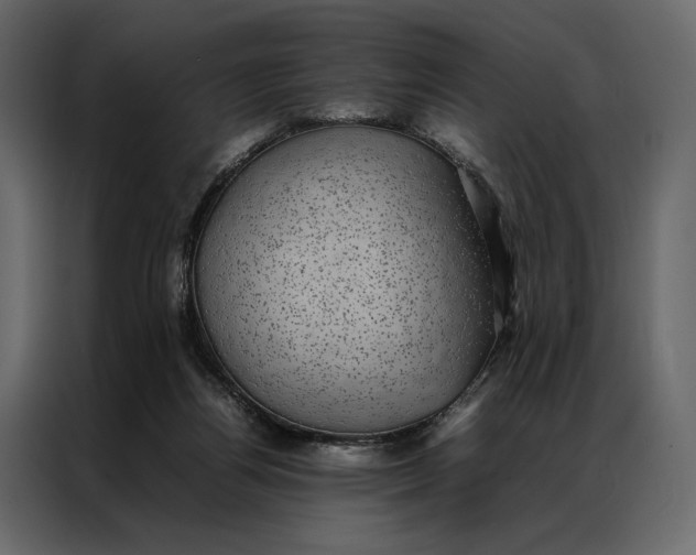 X0000086890164200705071230