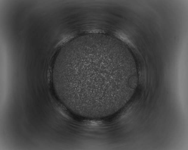 X0000086890165200705071230