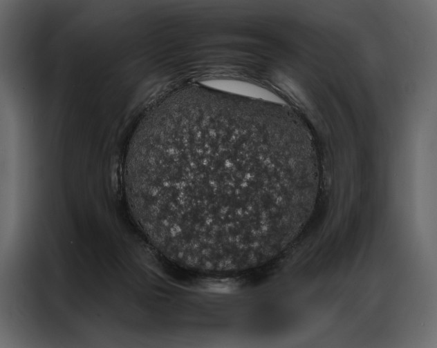 X0000086890169200705071230