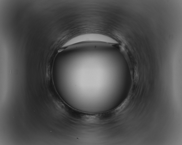 X0000086890170200705071230