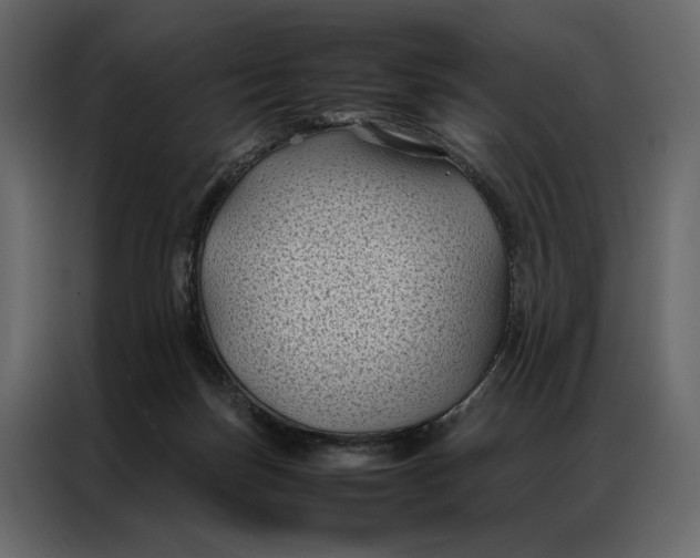 X0000086890171200705071230