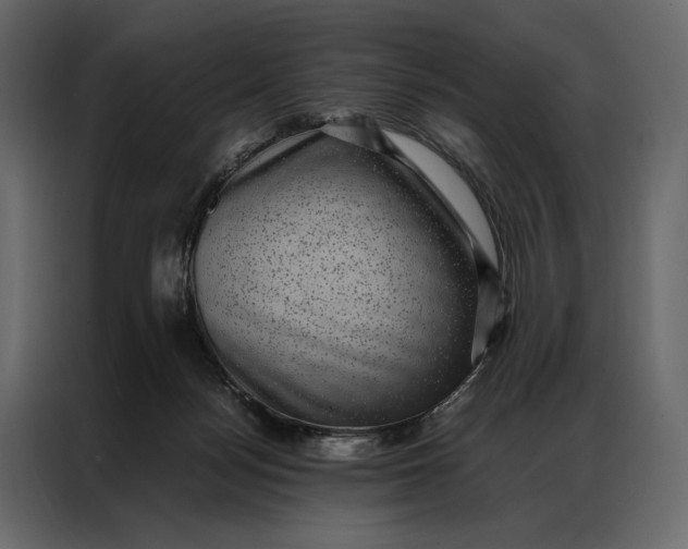 X0000086890172200705071230