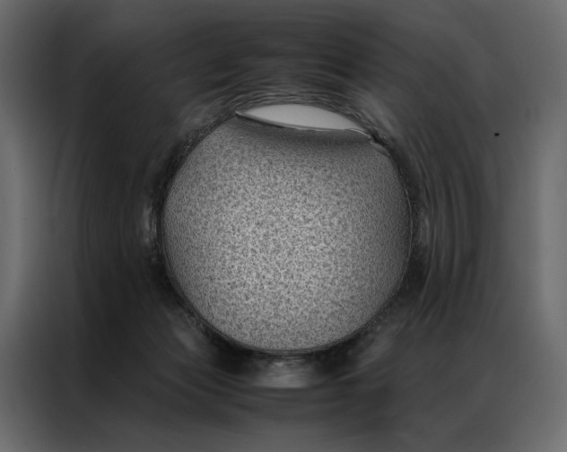 X0000086890173200705071230