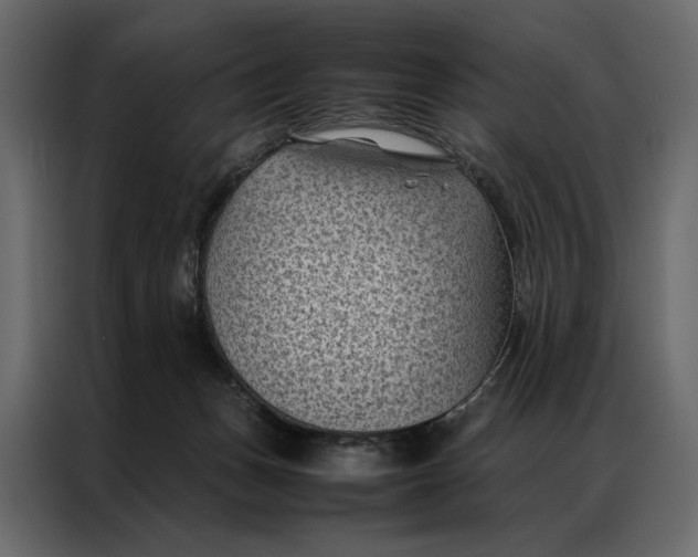 X0000086890175200705071230