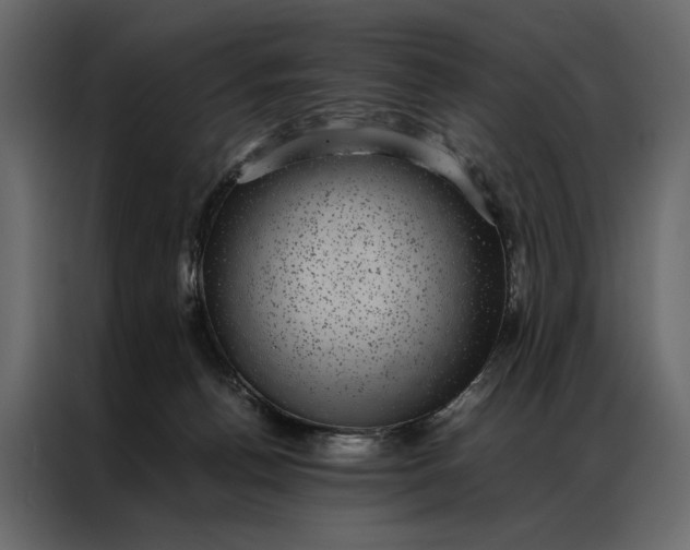 X0000086890176200705071230