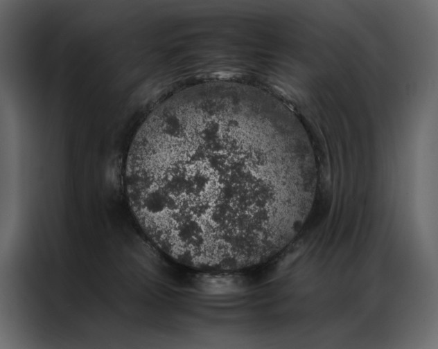 X0000086890181200705071230