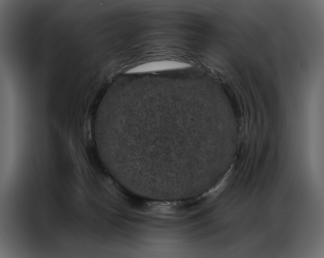 X0000086890182200705071230