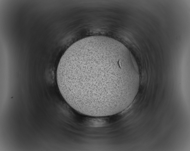 X0000086890183200705071230