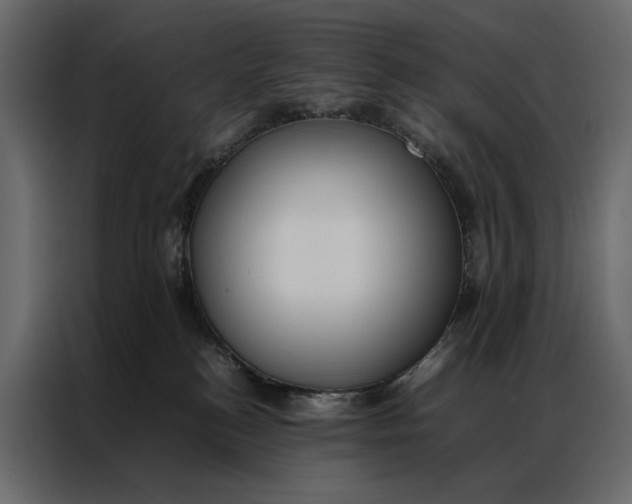 X0000086890184200705071230