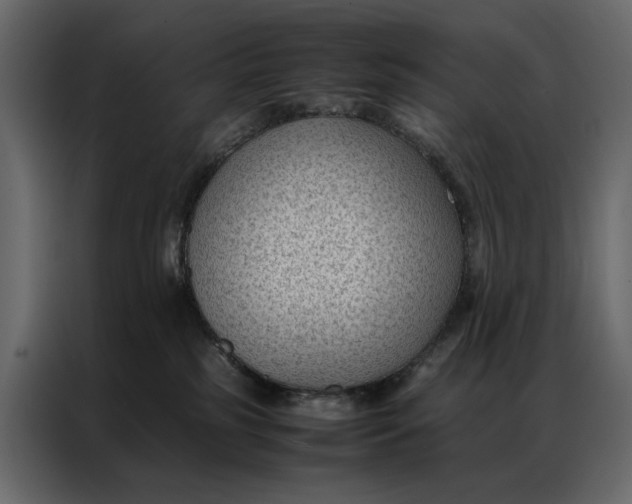 X0000086890185200705071230