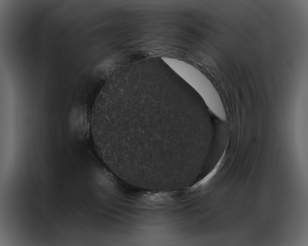 X0000086890186200705071230