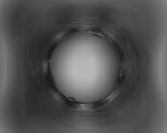 X0000086890188200705071230