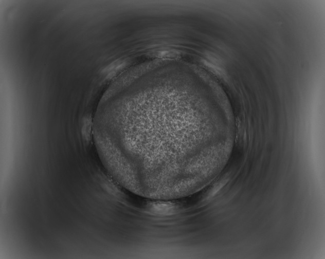 X0000086890189200705071230